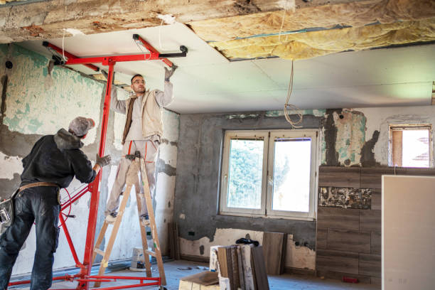 Best Insulation Materials and Products in Bells, TX
