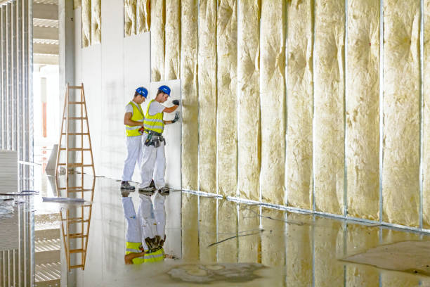 Best Insulation for Specific Applications in Bells, TX